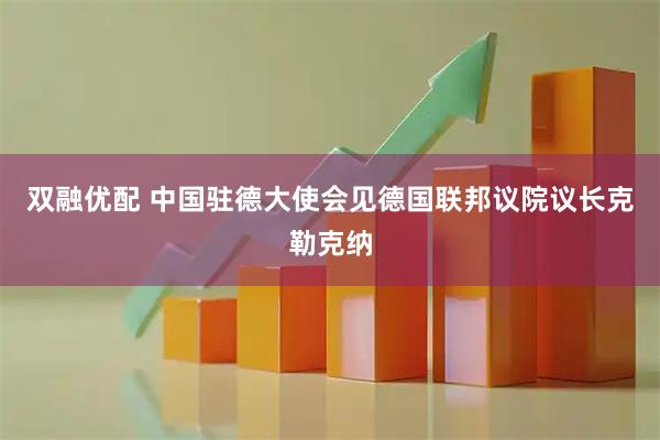 双融优配 中国驻德大使会见德国联邦议院议长克勒克纳