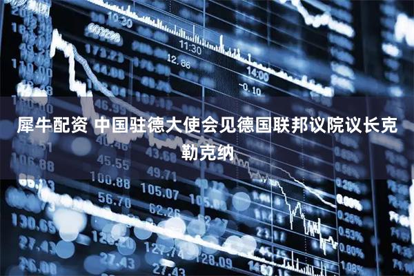 犀牛配资 中国驻德大使会见德国联邦议院议长克勒克纳