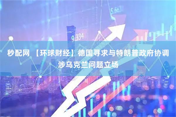 秒配网 【环球财经】德国寻求与特朗普政府协调涉乌克兰问题立场