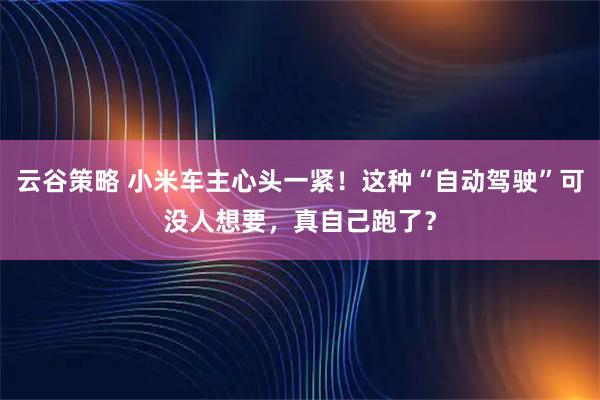 云谷策略 小米车主心头一紧！这种“自动驾驶”可没人想要，真自己跑了？