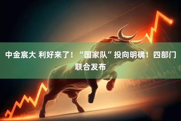 中金宸大 利好来了！“国家队”投向明确！四部门联合发布